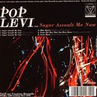 Pop Levi - no title