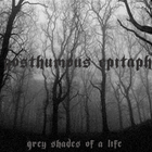 Grey Shades Of A Life