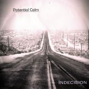 Indecision