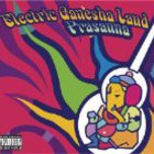 PRASANNA - Electric Ganesha Land