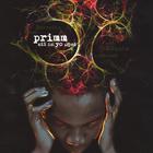Primm - All In Yo Head