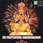 Prof.Thiagarajan & Scholars - Sri Pratyangira Sahasranamam