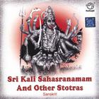 Prof.Thiagarajan & Scholars - Sri Kali Sahasranamam and Other Stotras