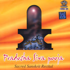 Prof.Thiagarajan & Scholars - Pradosha Shiva Pooja