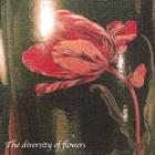 Professor Nineteen - The diversity of flowers