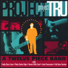 Project Tru - A Twelve Piece Band