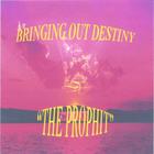 Prophit - Bringing Out Destiny