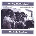 Psychic Plowboys - The Easley Sessions