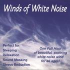 PureWhiteNoise.com - Winds Of White Noise