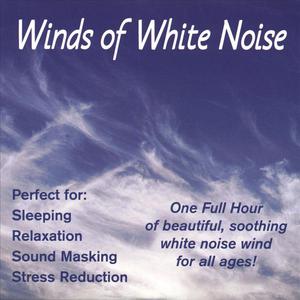 Winds Of White Noise