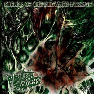 Stench Of The Drowned Carrion
