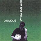 Q-Unique - While You Wait