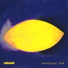 Radium88 - artificial life