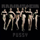 Rammstein - Pussy (CDS)