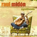 Raul Midon - Synthesis