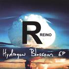 Rayno - Hydrogen Blossom EP