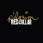 Red Collar - Pilgrim
