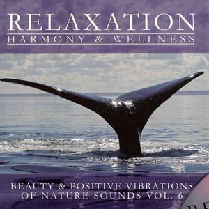 Beauty & Positive Vibrations Of Nature Sounds Vol.6