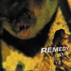 Remedy - Enter Night