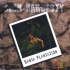 Rich Hardesty - Ganja Plantation