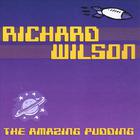 Richard Wilson - The Amazing Pudding