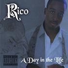 Rico - A Day in the Life....