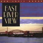 Rob Levit - East River View