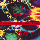 Robert Windley - Electric Sensuous Moments