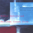 Robin Gottfried - Pelican Crash Dive