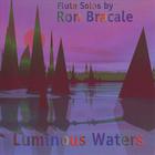 Ron Bracale - Luminous Waters
