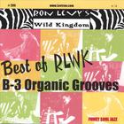 Best Of Rlwk - B-3 Organic Grooves