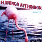 Ronfo - Flamingo Afternoon