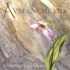 Rosemary Phelan - Avalanche Lily