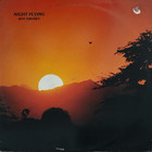 Night Flying (Vinyl)