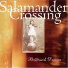 Salamander Crossing - Bottleneck Dreams