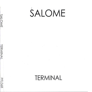 Terminal
