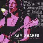 Sam Shaber - in my bones (live in chicago)