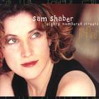 Sam Shaber - Eighty Numbered Streets