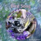 One Hour Long Bird Song