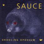 Sauce - Drooling Opossum