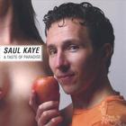 Saul Kaye - A Taste Of Paradise