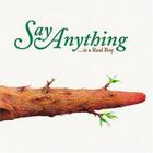Say Anything - Was A Real Boy