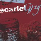 Scarlet Grey - Forgot Me Was Me