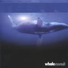 Scott McNulty - whalesounds whale sounds