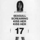 Seagull Screaming Kiss Her Kiss Her - 17