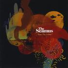 Seamus - Taste the colours