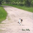 Calico on a Dusty Road
