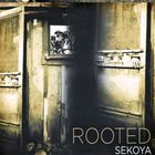 Sekoya - Rooted