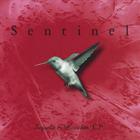 Sentinel - Sequels & Hunches E.P.