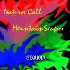 Sequoia - Natures Call / MountainScapes